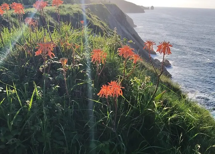 Hotel Puerto de Llanes Apartahotel 2*