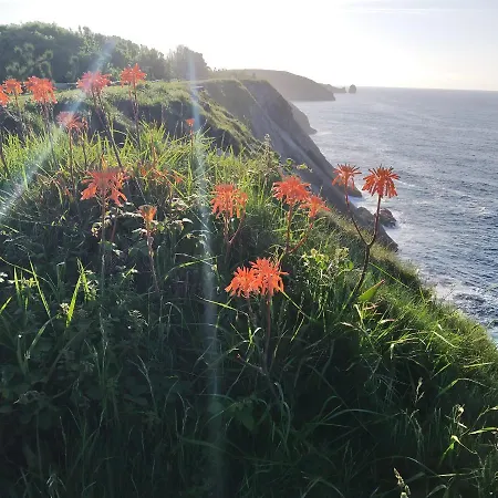 Puerto De Lejlighedshotel 2*